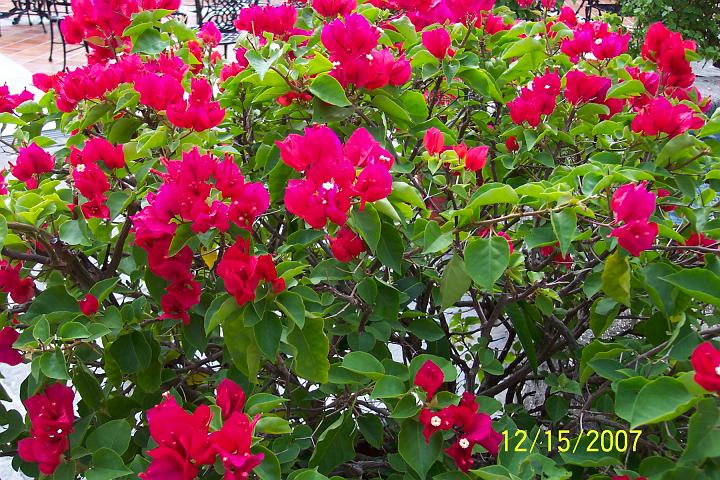 Cancun 020.jpg